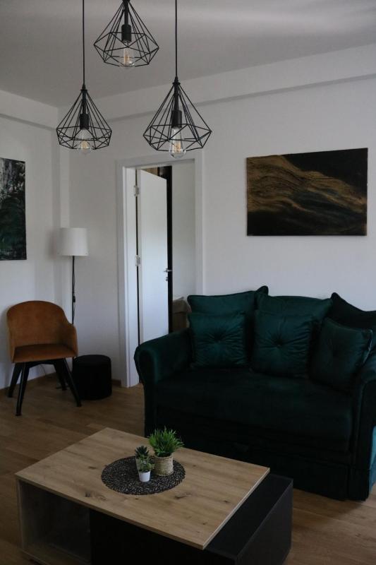 Aria Apartman Sokobanja - image 9