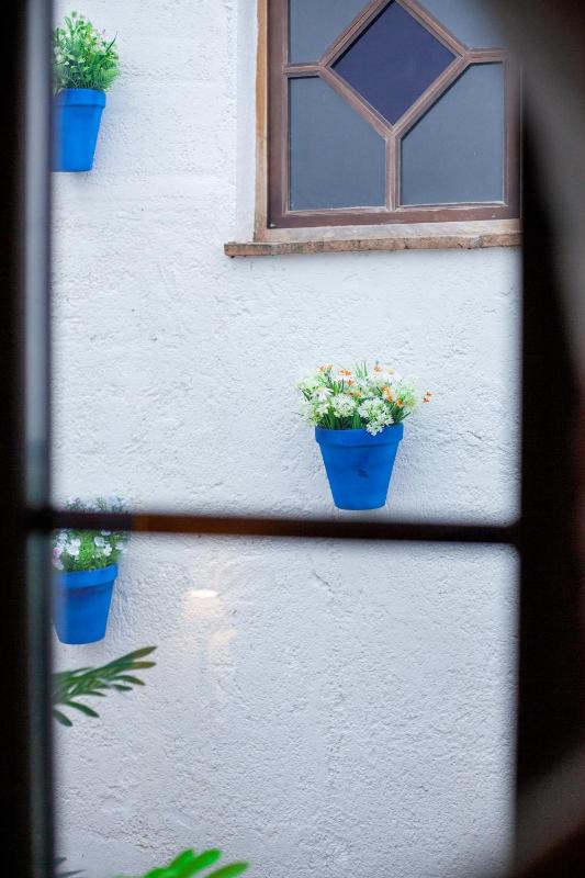 Hotel Palacio de Hemingway - image 8
