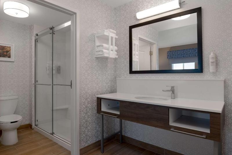 King Studio Suite with Sofa Bed and Wet Bar image 4