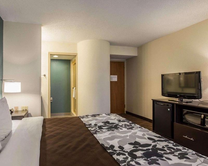 King Room - Non-Smoking image 3