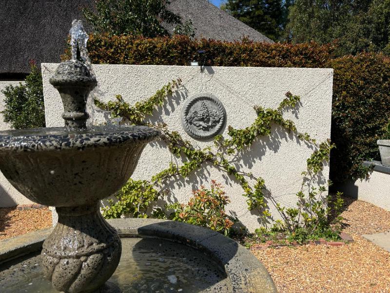 In the Vine Boutique Country Manor - image 8