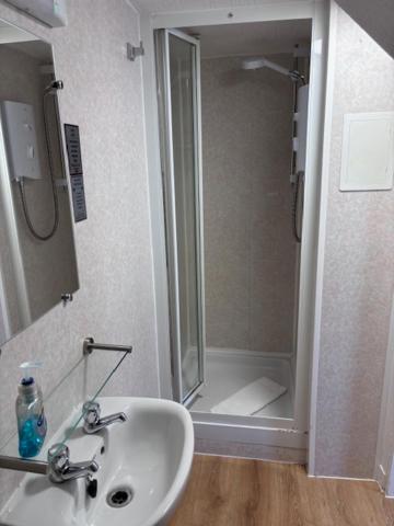 Classic Twin Room image 3