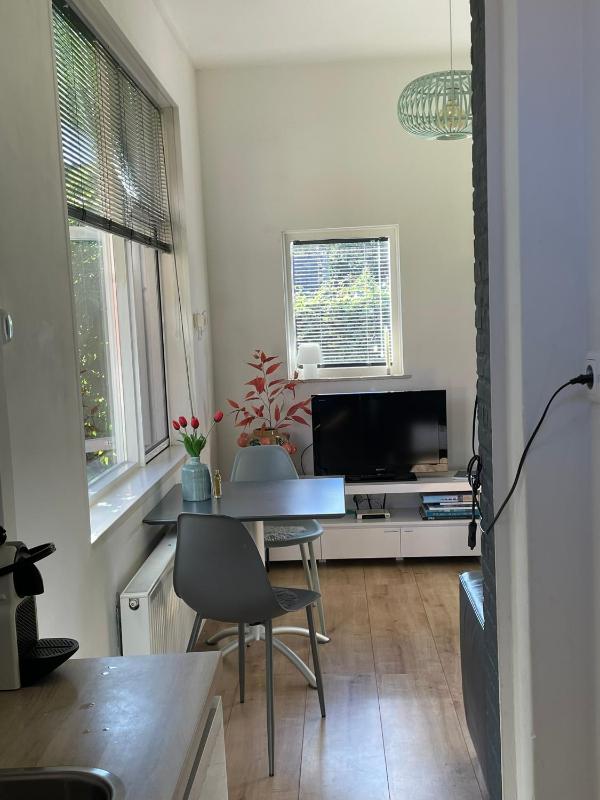 One-Bedroom Apartment image 4