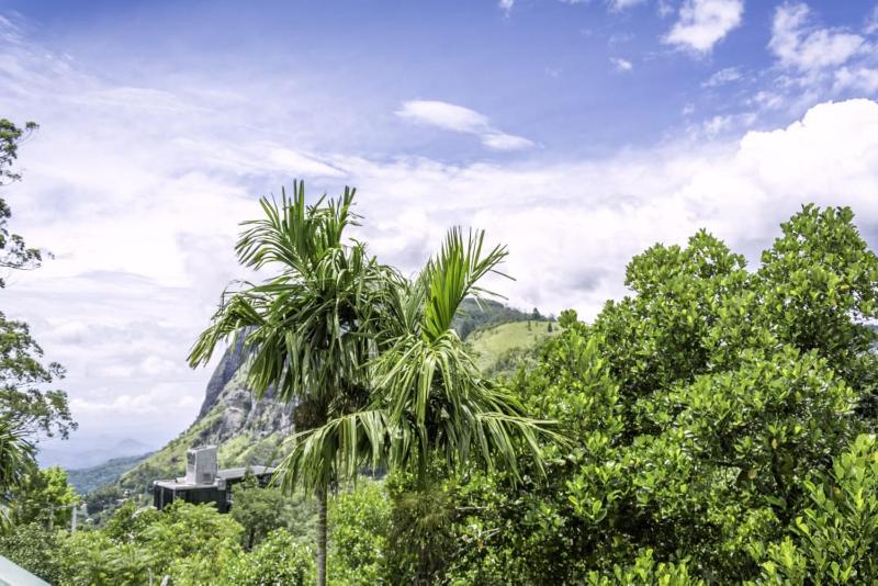 Udessa ella rest - image 16