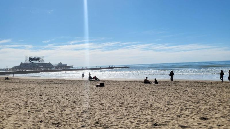 Mar del Plata Place - image 6