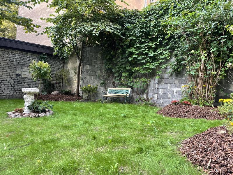 Exquisite & Steps to center 1Br Apt with Free Parking - image 14