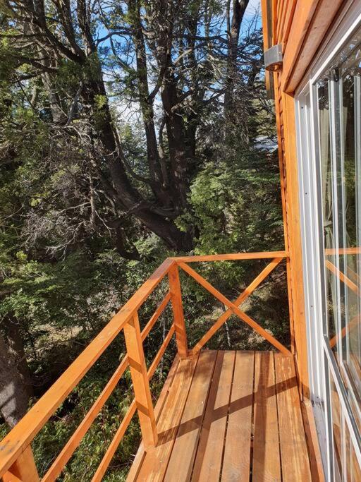 Tiny House en el bosque - image 11