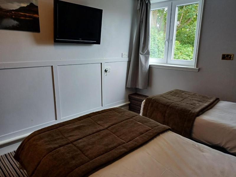 Standard Twin Room image 1