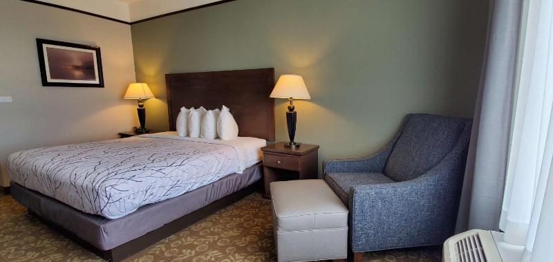 King Room - Non-Smoking image 3