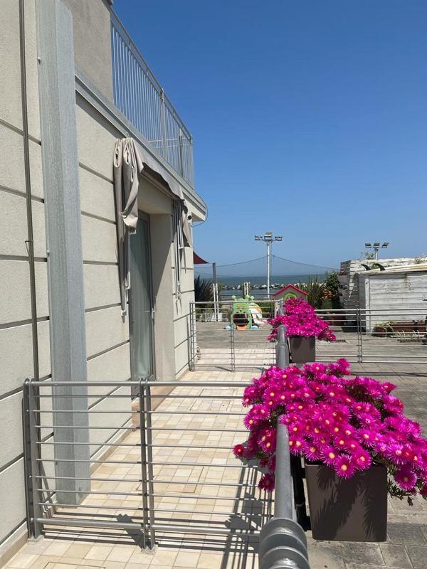 Hotel & Residence Cavalluccio Marino - image 8