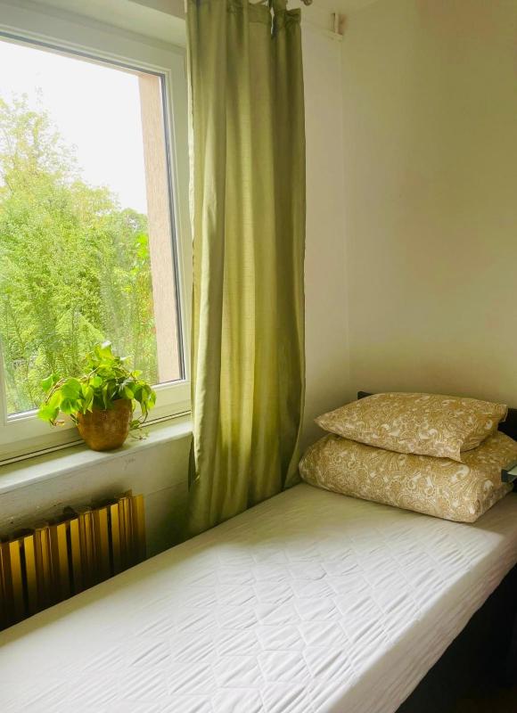 Large Single Room image 1