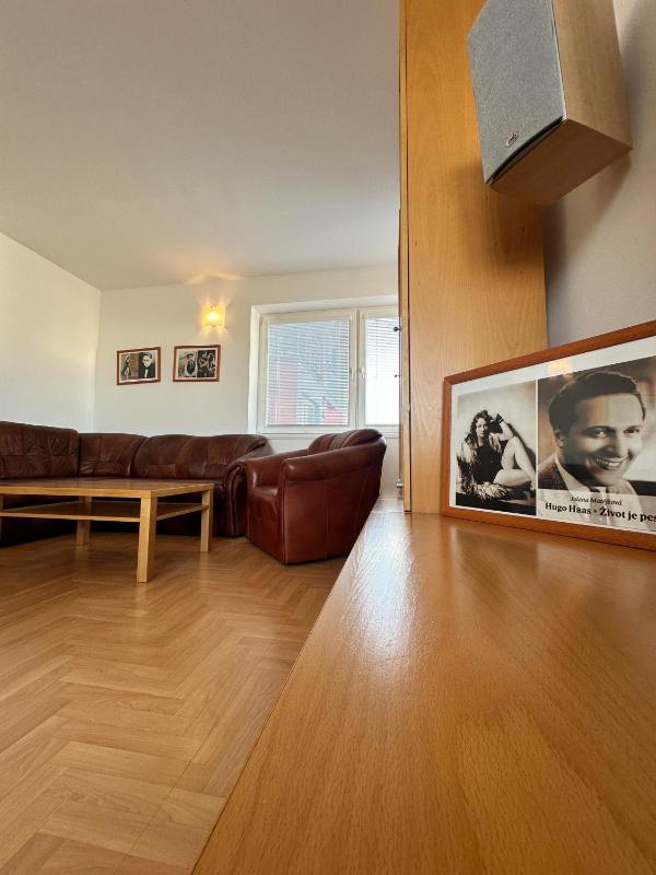 Hotel Muza - image 18