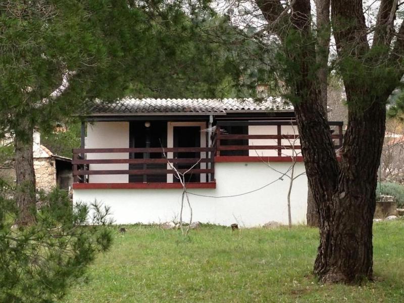 House Tia - image 3