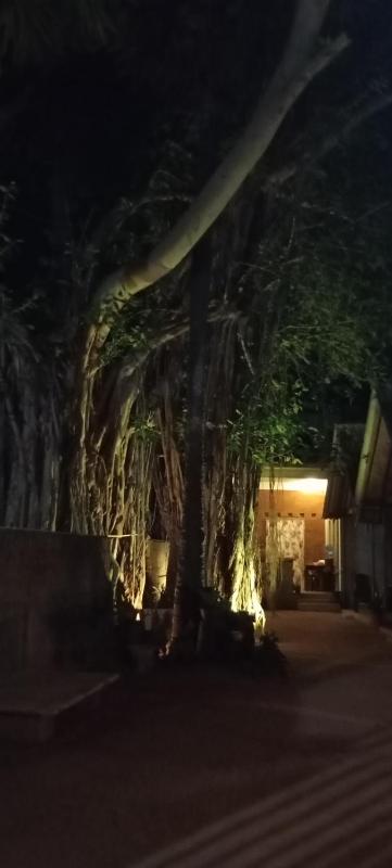 Cool Banyan Cabana - image 2