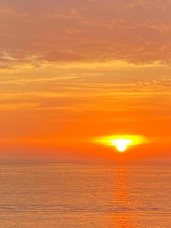 Roi Soleil latéral mer - image 15
