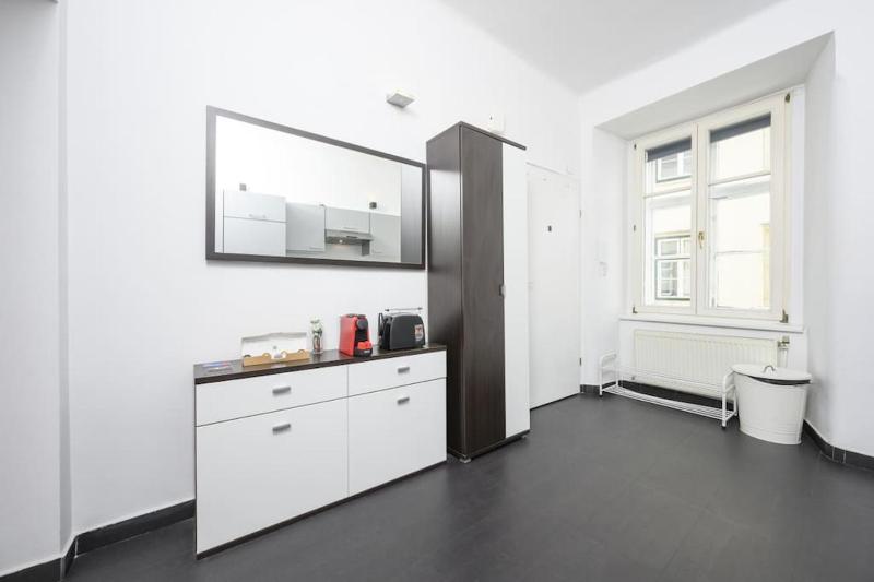 Charming apartment in Center Vienna - image 4