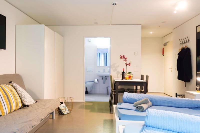 Studio with Balcony I image 1