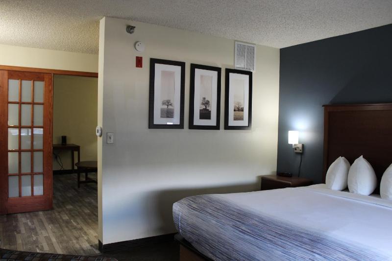 Deluxe King Suite - Non-Smoking image 3