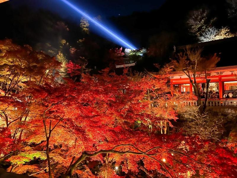 Rinn Kiyomizu Gion - image 9