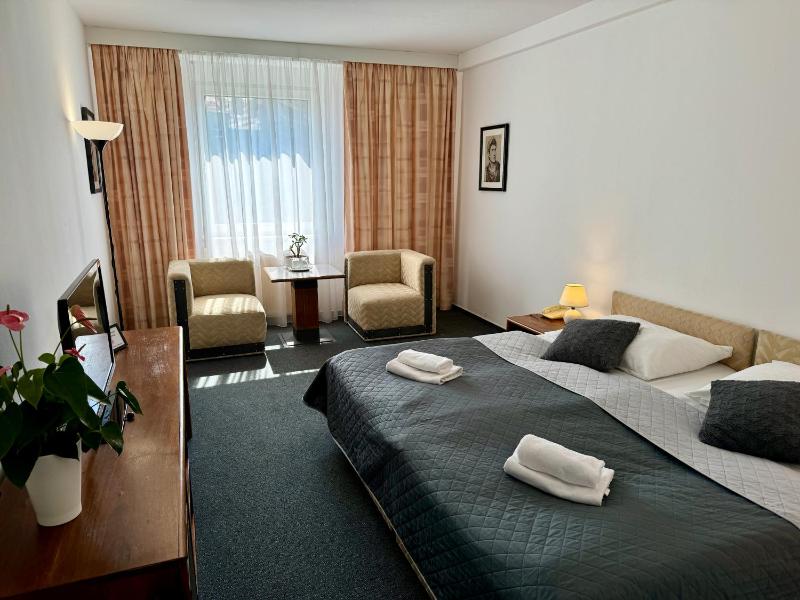 Double or Twin Room image 4