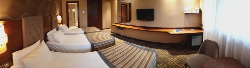 Standard Twin Room image 2