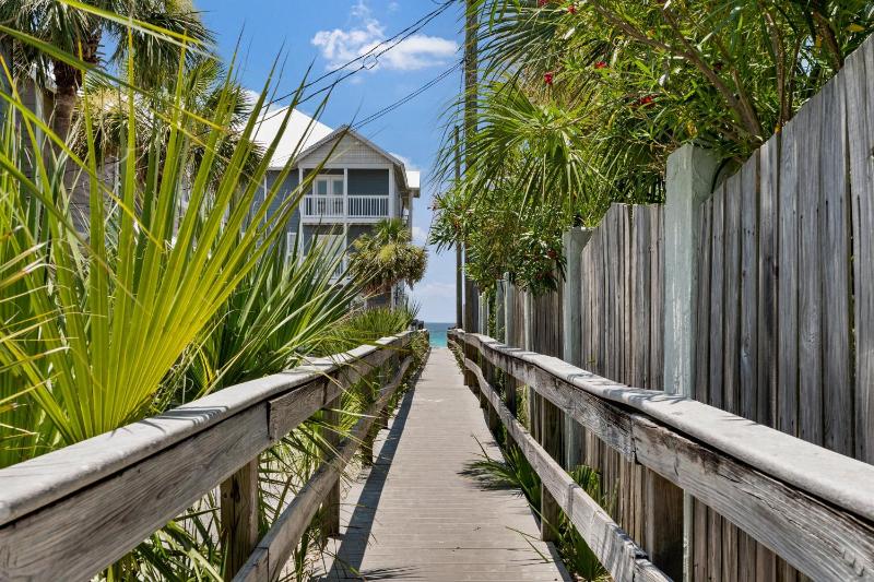 Goin' Coconuts - image 2