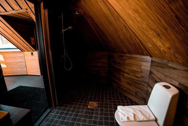 Log Cabin with Glass Ceiling image 3