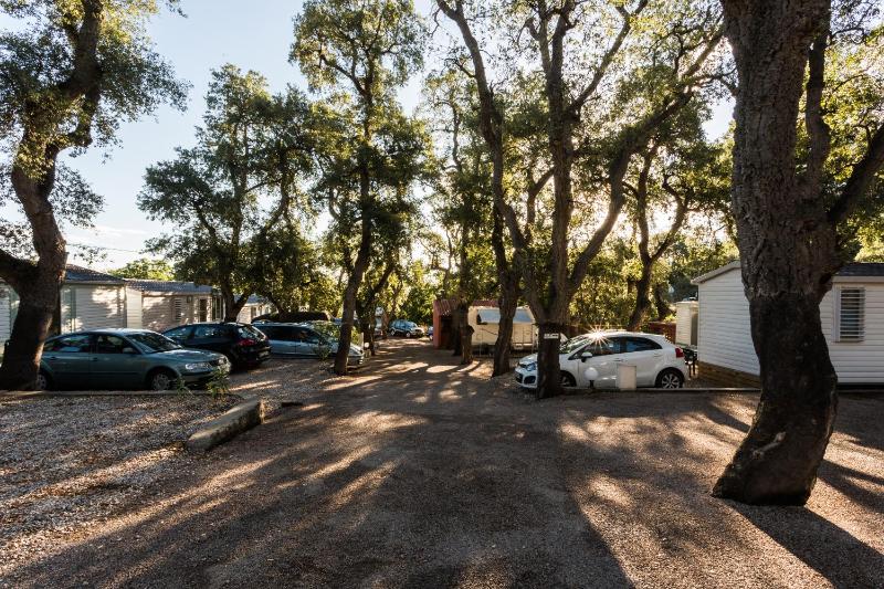 Camping Des Mimosas - image 2