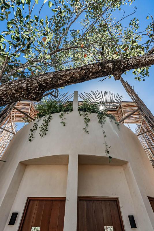 Taio Tulum - image 18