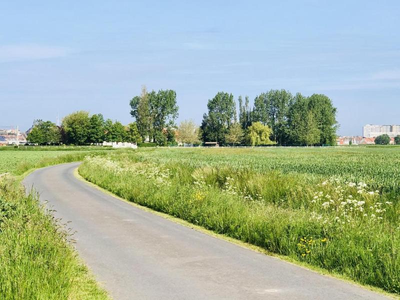 De Lange Dreve - image 26