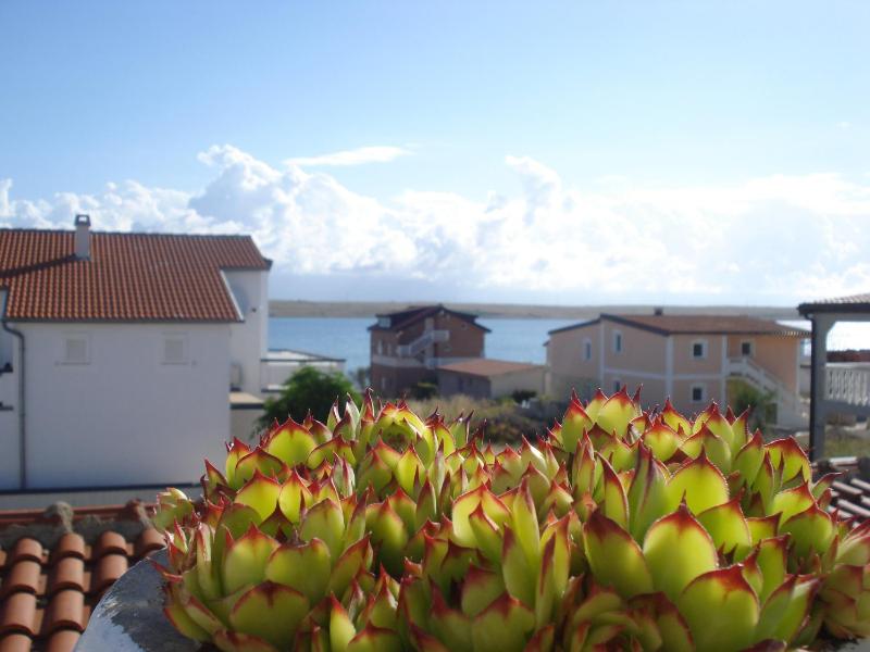 Apartments by the sea Vir - 18451 - image 12
