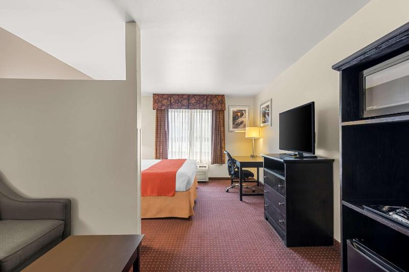 Deluxe King Suite - Non-Smoking image 4