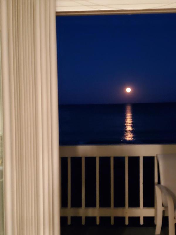 The Carolina Kraken by Sea Scape Properties - image 9
