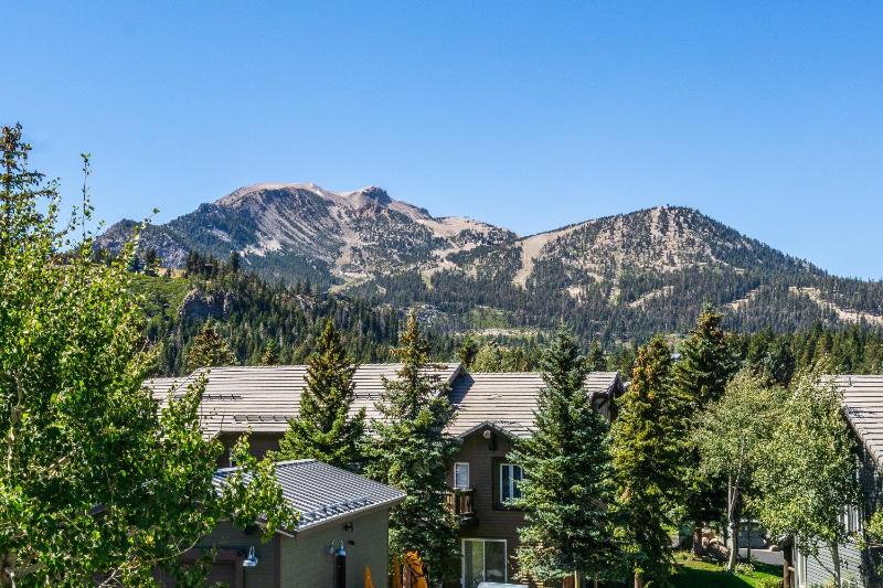 Snowcreek #793 Phase V - 3 Bedroom 3 Bath Sleeps 8 with Private 1 Car Garage - image 13