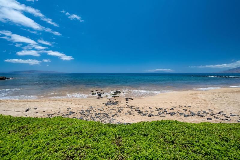 Elua 2001 - image 10