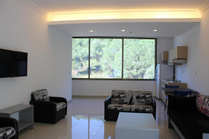 Deluxe Double or Twin Room image 1
