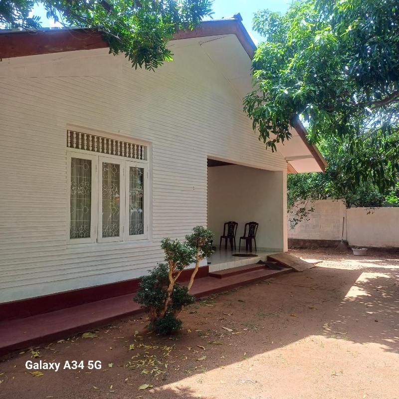 Muthupalasa - image 2