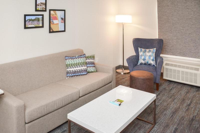 King Studio with Sitting Area and Sofa Bed - Hearing Accessible