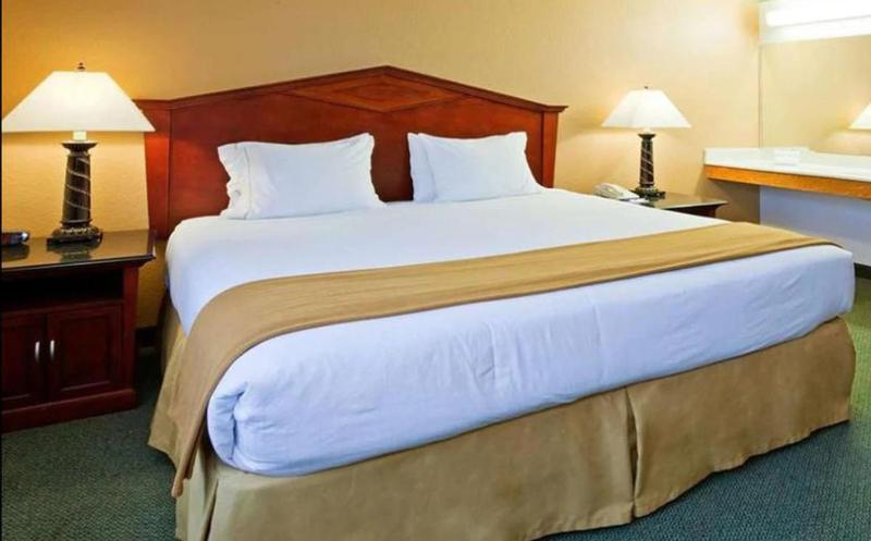 Superior Suite image 4