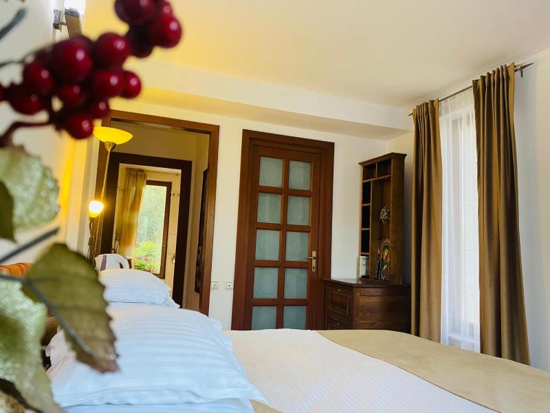 Superior Double Room image 4