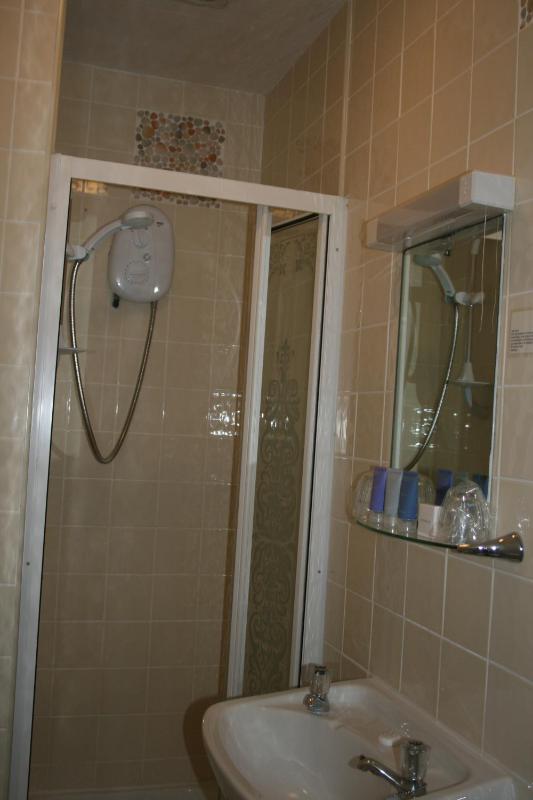 Haytor Hotel - image 8