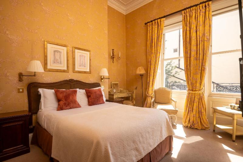 Cosy King image 3