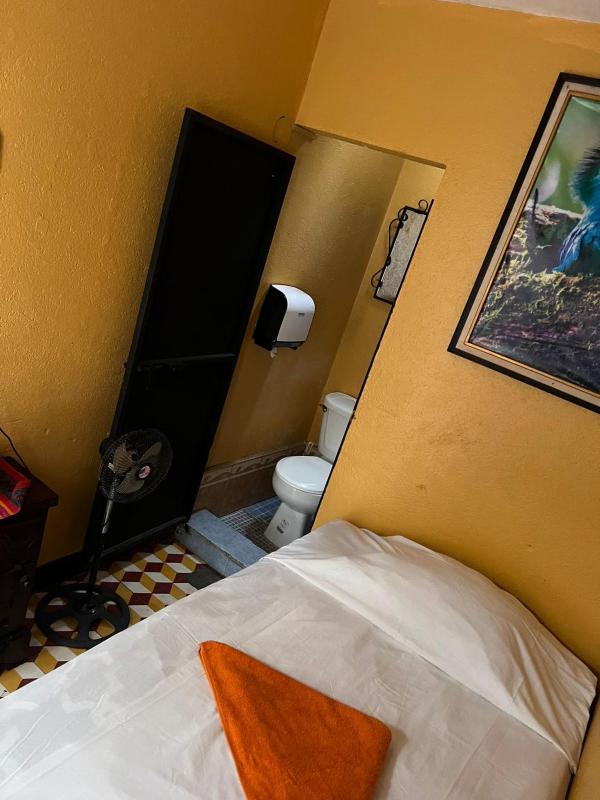 Hotel Alma Maya - image 12