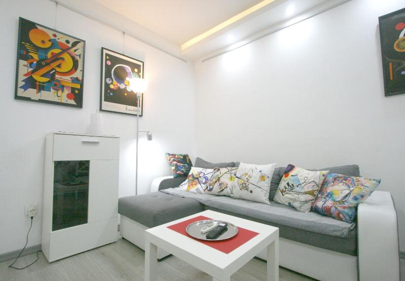Kandinsky business apartment with workspace in Belgrade Serbia - image 15