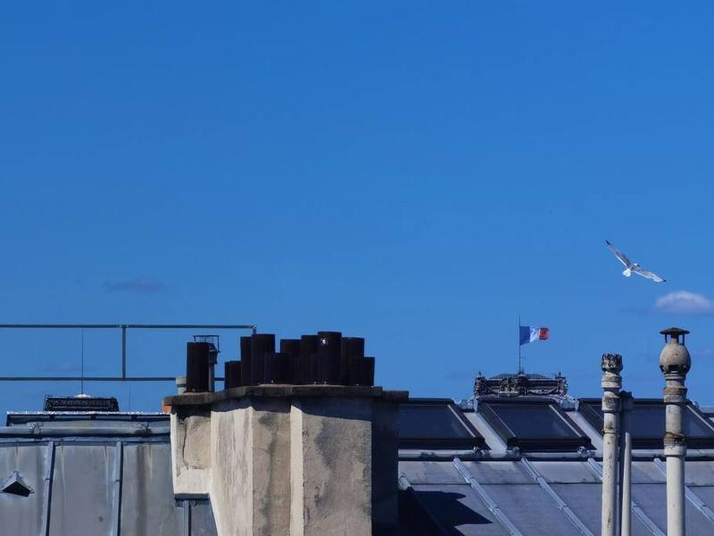 Top roof view studio with elevator /1mn to metro - image 14