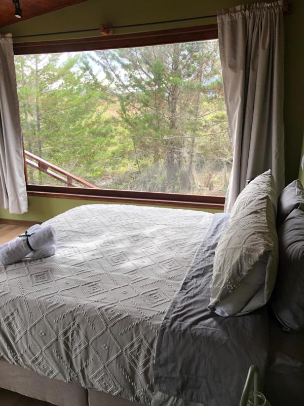 Glamping La Reserva - image 8