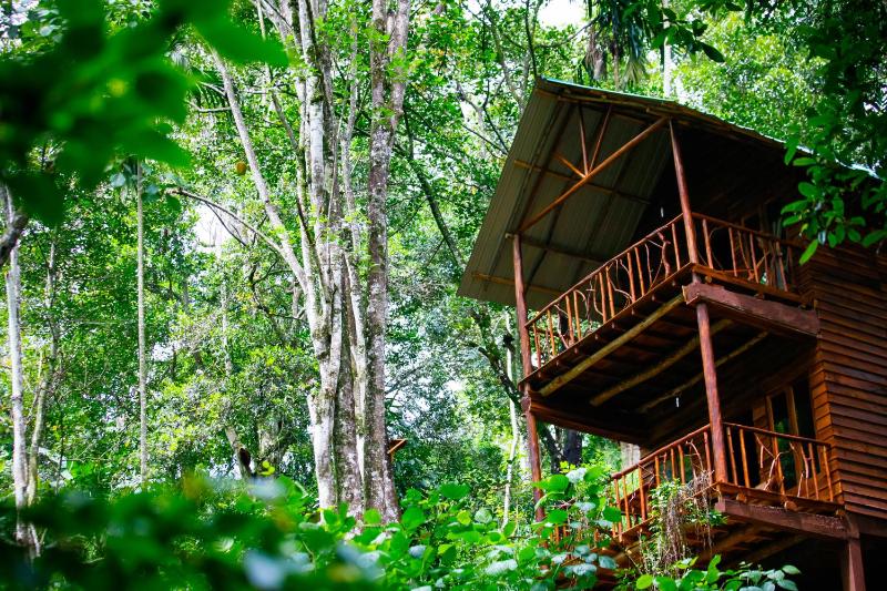 ELLA Eco Lodge Wellness & Yoga retreat - image 16