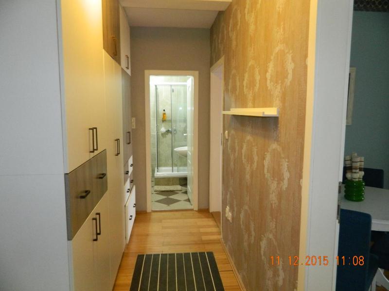 One-Bedroom Apartment image 2