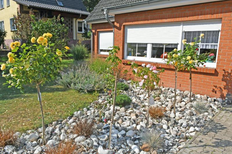 Pension mit Fruehstueck im Ostseebad - image 37