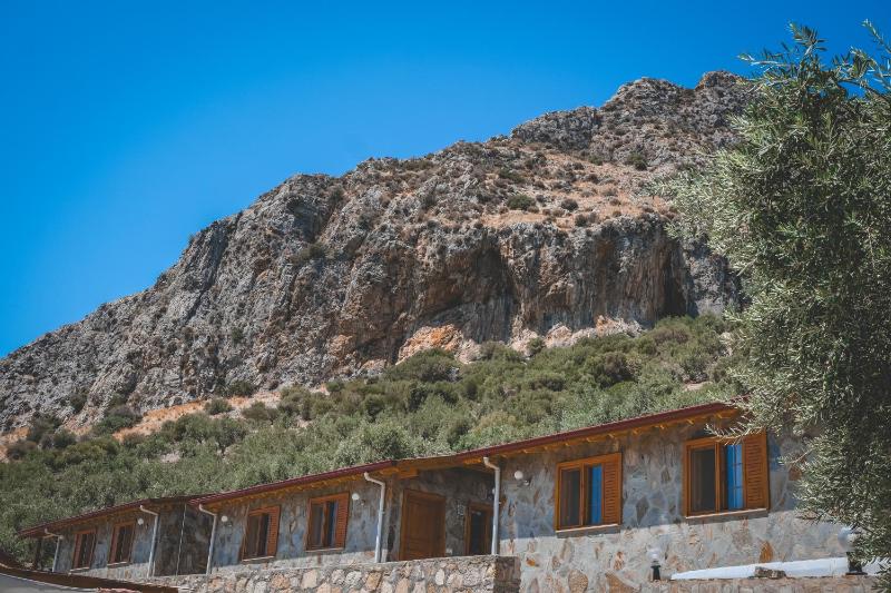 One-Bedroom Apartment image 2